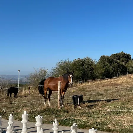 Jolie Maisonnette Proche Carcassonne Дом отдыха *